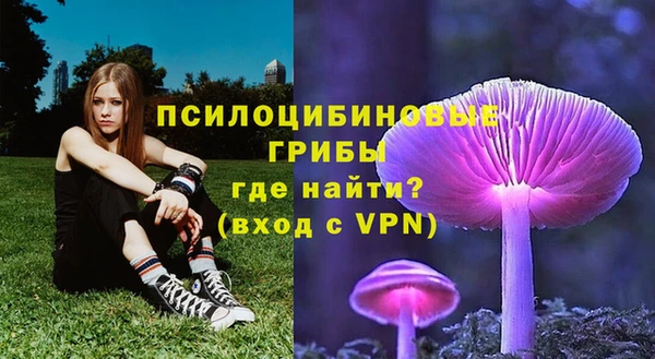 марки lsd Белокуриха