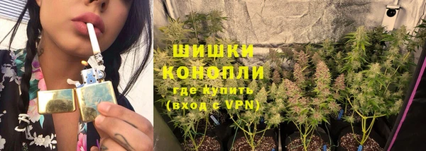 марки lsd Белокуриха