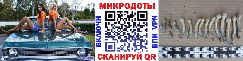 shop клад  магазин продажи   Маркс  Псилоцибиновые грибы MAGIC MUSHROOMS 