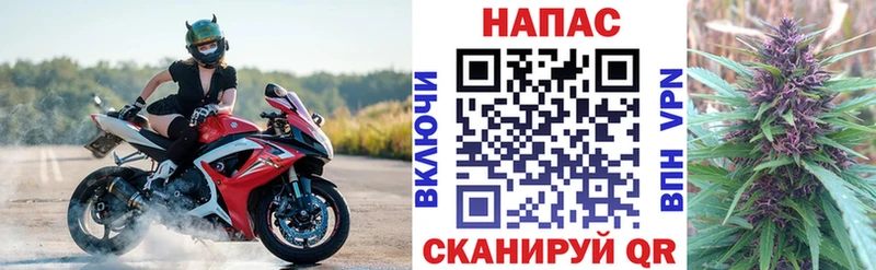 Бошки Шишки MAZAR Маркс